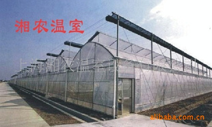 Ҵ&  *豸*