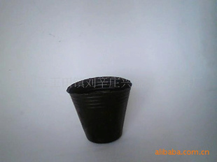 8×8ӪӪľӪרò籭