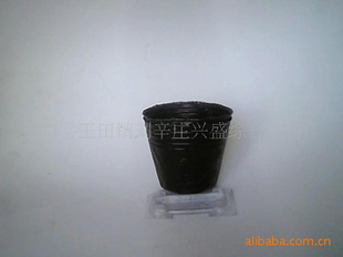 ӪӪ12-10Ӫרò籭