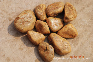 5-8cmɫʯ