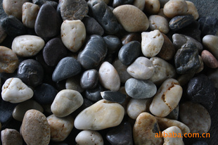 2-3CM԰ר׹ʯ