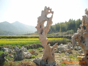 ̫ʯ ʯ ǧʯ Ƭʯ ʯ ʯ