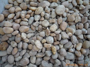 ԰ͥԺе͹Ħɫʯ3-5cm,5-8cm