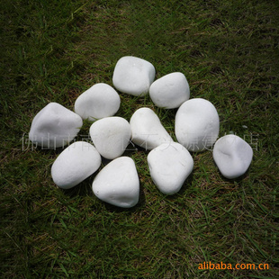 3-5cmɫưרöʯ——˳*ʹòƷ