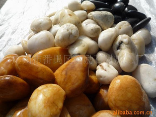 ԰ͥԺװ*ȻȾ3-5cmʶʯ