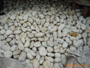 ﹫԰*ѡôȻɫʯ3-5cm,5-8cm