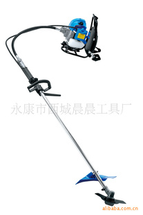 ԰ֹ߸ݻ
