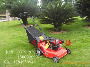 ݻ ƺ 16