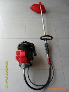 ĳ̸ݻƷ