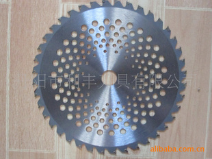 ݻƬ 40