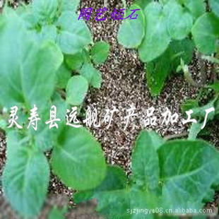Զҵ ߲רʯ
