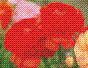 ëݢ죩