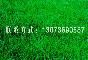 éƺ򡢺Ҷʯ骡ɭŮ