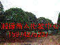 𻨡¹ļ
