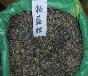 香港紫荆种子、沙藏红豆杉种子等