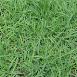 òݲƺ