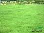 ھ15-300۸,ƺ۸,ļ۸