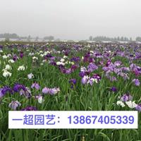 点击查看大图