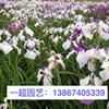 点击查看大图