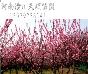 ÷÷÷۸÷۸񣬺÷أ÷