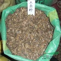 点击查看大图
