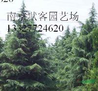 点击查看大图