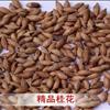 桂花種子價格，九江桂花種子批發