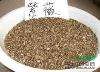 最新红花紫薇种子价格新采紫薇种子