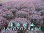 컨ľ
