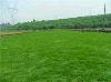 ӦݲƤ۲Ƥ