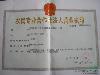 8公分广玉兰价格,10公分广玉兰价格,12公分广玉兰价格