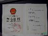 红叶李价格,黄山栾树价格,法桐价格,河南桧柏价格,南天竹价格