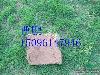 ĴƤ۸ĴƤ۸