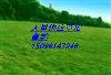 ĴƤ۸ĴƤ۸ĴƤۼ۸