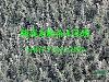 Ӧֹ׶  𻨡컨ľ