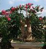 ޱޱ޽ޱ컨ޱޱ޽Ӻ컨ޱ