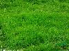 ̲ƺ ƺ ļƺ ݲƺ ĺŲƺ