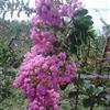 ޱ컨ޱ2014ޱӦޱ۸ޱͼƬ