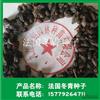 鱨\ͼƬչʾ