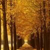 ߹Ӽ۸|˹Ӽ۸|ŹӼ۸|ʮӼ