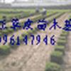 麣Ƥ麣ƺ麣Ƥ۸麣ƺ۸
