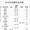 2014年浙江地区苗圃苗木直销有重阳木，无患子，榉樹等