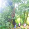 ֱ60CM-140CMҰ  