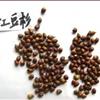 现在红豆杉多少钱一斤.
