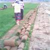 ǲƺ\ǲƺӦ