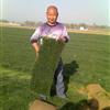 ǲƺ/ǲƺ
