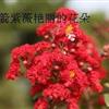 Ӧ10-20ָޱС