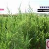 14鱨\14ͼƬչʾ