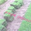 ƺƷ֣Ƥ۸񣬲ƺ