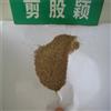 进口别墅草籽 果岭 球道 剪股颖 草坪种子 无需修剪